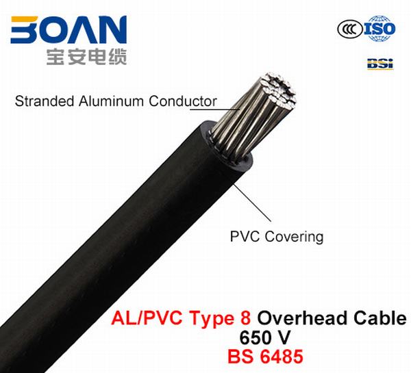 
                                 AAC/PVC de type 8, les conducteurs recouvert de PVC pour les lignes électriques aériennes, 650 V (BS 6485)                            