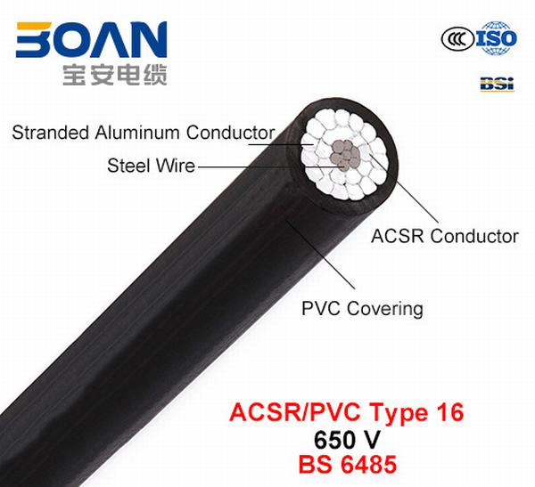 Cina 
                                 ACSR/PVC Type 16, PVC Covered Conductors per Overhead Power Lines, 650 V (BS 6485)                              produzione e fornitore