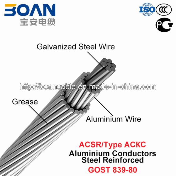 Cina 
                                 ACSR, Type Asx, All-Greased Aluminium Conductors Steel Reinforced (GOST 839-80)                              produzione e fornitore