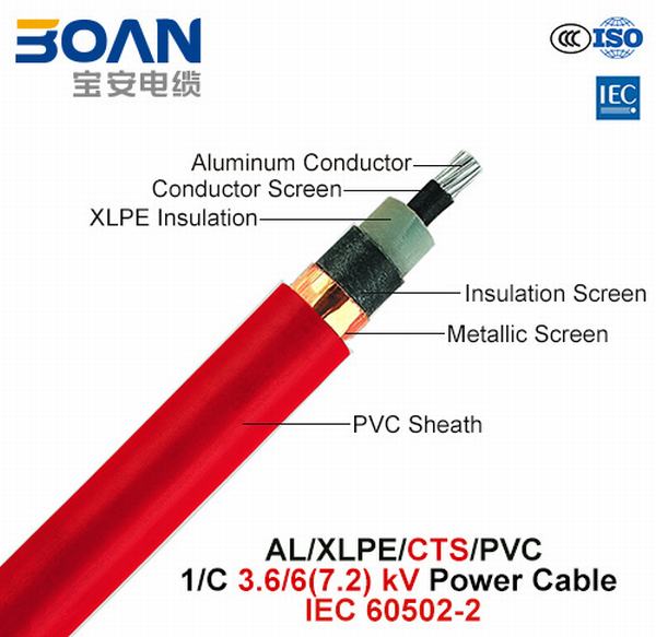 
                                 Al/XLPE/Cts/PVC, cavo elettrico, 3.6/6 (7.2) chilovolt, 1/C (IEC 60502-2)                            