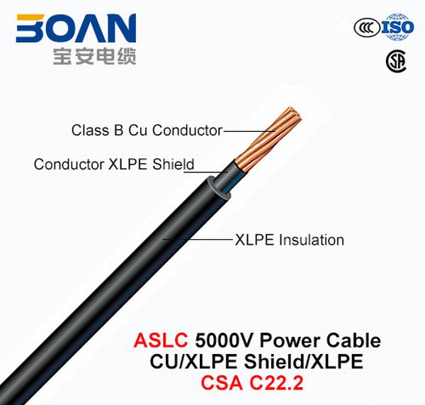 China 
                                 Aslc, Cable de alimentación, Cu/Escudo XLPE/aislamiento XLPE, 5000V, 1/C (CSA C22.2)                              fabricante y proveedor