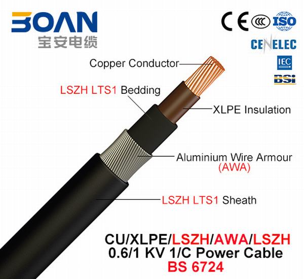 Chine 
                                 Cu/XLPE/Lszh/Awa/, LSZH 1/C Câble d'alimentation, 0.6/1 Kv (BS 6724)                              fabrication et fournisseur