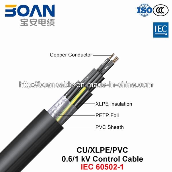 
                                 Cu/XLPE/PVC, câble de commande de polyéthylène réticulé, 0.6/1 kv (IEC 60502-1)                            
