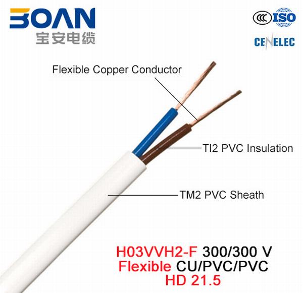 China 
                        H03vvh2-F, Electric Wire, 300/300V, Flexible Cu/PVC/PVC (HD 21.5)
                      manufacture and supplier