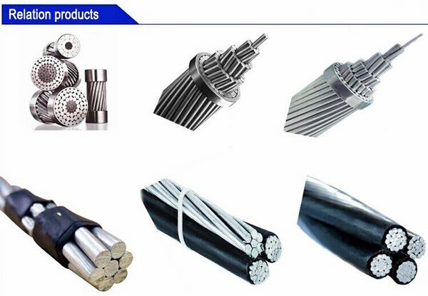 China 
                                 100mm, 200 mm, 300 mm, 500 mm de alumínio entrançado cabo condutor AAC                              fabricação e fornecedor