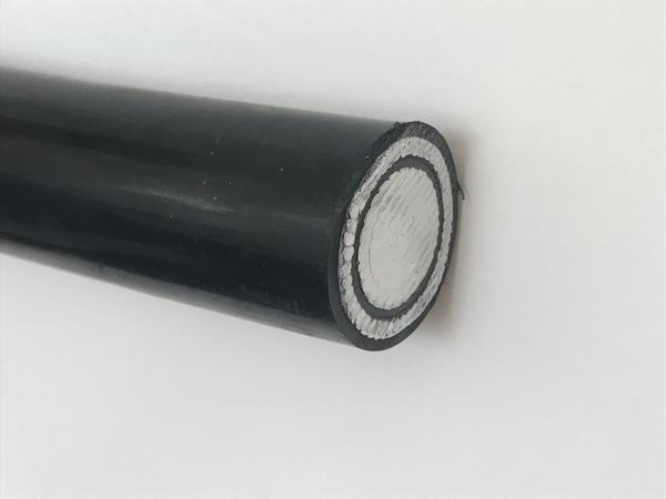 China 
                        0.6/1kv Aluminum Conductor XLPE Insulation Single Core Concentric Cable
                      manufacture and supplier