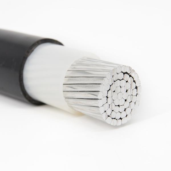 
                        1X240mm2 Aluminum Conductor XLPE Insulation PVC Sheath Power Cable
                    