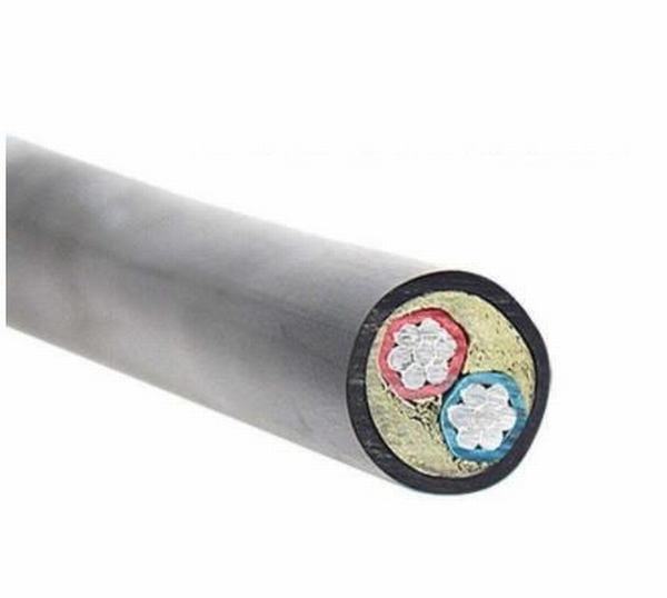 China 
                        2X25mm2 Aluminum Conductor XLPE/PVC Insulation Power Cable
                      manufacture and supplier