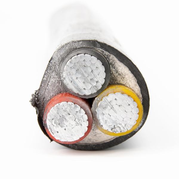 China 
                        3 Cores XLPE Insulated Power Cable
                      manufacture and supplier
