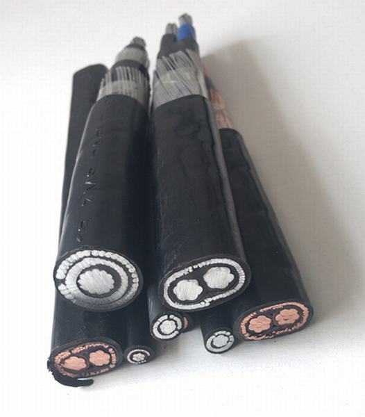 China 
                        600V Aluminum Conductor XLPE Insulated 3 Core Concentric Cable
                      manufacture and supplier