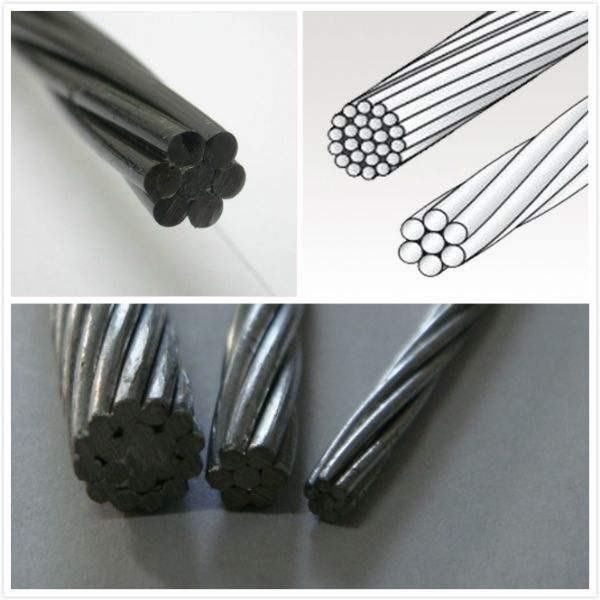 Cina 
                                 conduttore galvanizzato del filo ricoperto zinco del filo di acciaio del tipo del filo 7wire                              produzione e fornitore