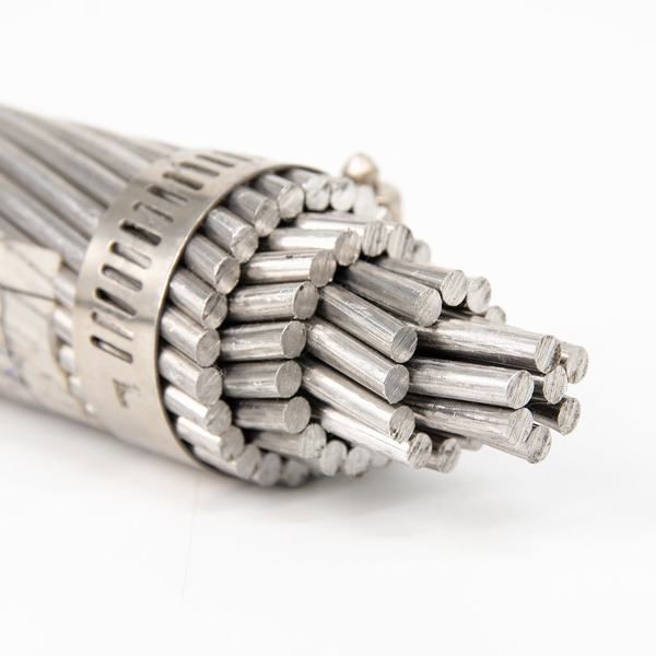 China 
                        AAAC Conductor 50mm2 70mm2 85mm2 Aluminum Cable Bare Conductor
                      manufacture and supplier