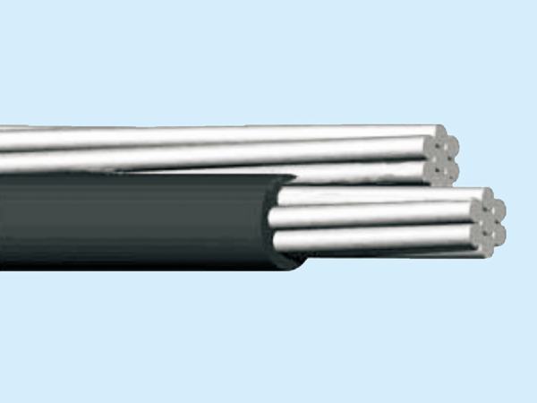 China 
                        AAC Conductor PE Insulated Duplex ABC Cable
                      manufacture and supplier
