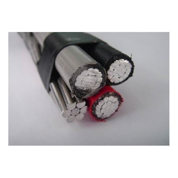 China 
                        AAC Core XLPE or PE Insulation 0.6/1kv Overhead ABC Cable
                      manufacture and supplier