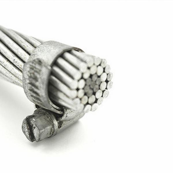 China 
                                 ACSR Moos aire ampliar el cable conductor                              fabricante y proveedor