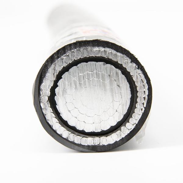 
                        ASTM Standard 2*6AWG Aluminium Alloy Conductor XLPE Concentric Cable
                    