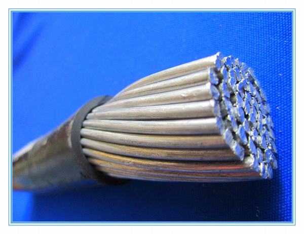 China 
                                 Isolierungs-elektrisches Kabel des Aluminiumlegierung-Leiter-XLPE                              Herstellung und Lieferant