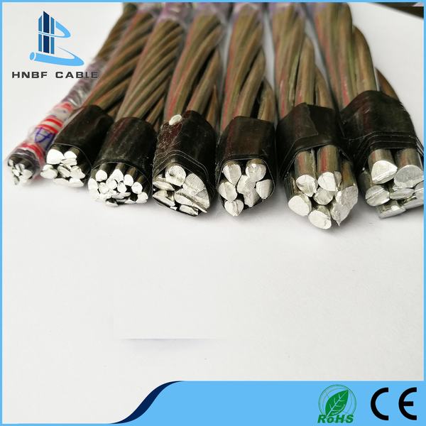 Chine 
                                 BS Standard Tous les frais généraux de l'aluminium le fil électrique conducteur sqmm ant 50AAC                              fabrication et fournisseur