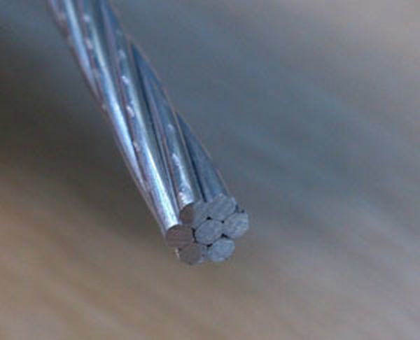 China 
                        Bare AAC Fly Conductor
                      manufacture and supplier