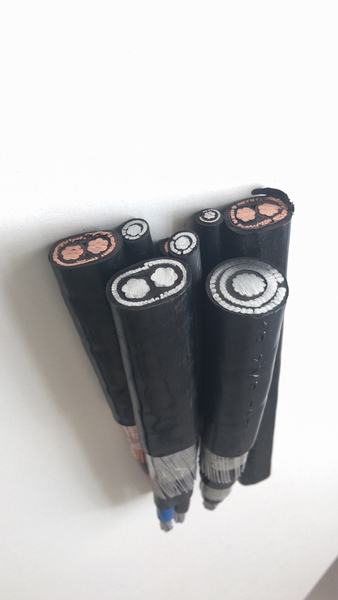 China 
                        Customized 2*8AWG Copper Conductor 8mm2 Concentric Cable
                      manufacture and supplier