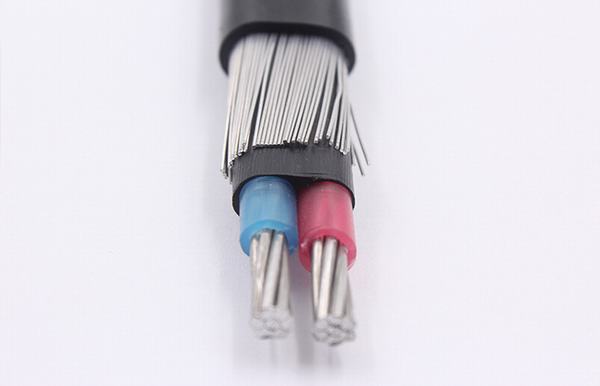 China 
                                 LV 2*6 AWG 2*8AWG Conductor de cobre aluminio Cable concéntrico                              fabricante y proveedor