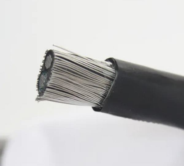 China 
                        Made in China 0.6/1kv Concentric Cable 2*8AWG+8AWG Cables
                      manufacture and supplier