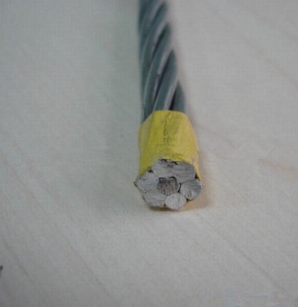 China 
                        Overhead Aluminum Conductor Types of ACSR Conductors
                      manufacture and supplier