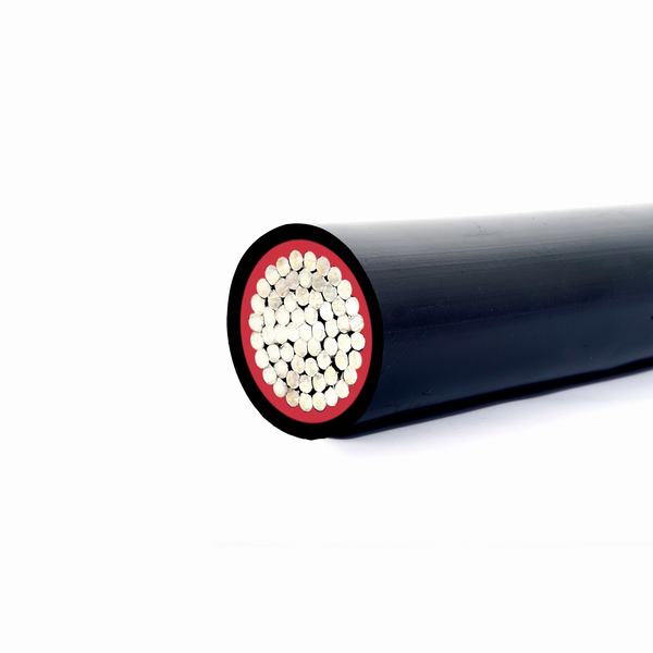 China 
                        Single Core Aluminum Conductor XLPE Insulation Power Cable Electrical Cable
                      manufacture and supplier