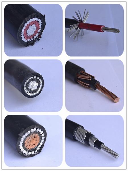 China 
                        Concentric Neutral Cable 2*6wg
                      manufacture and supplier