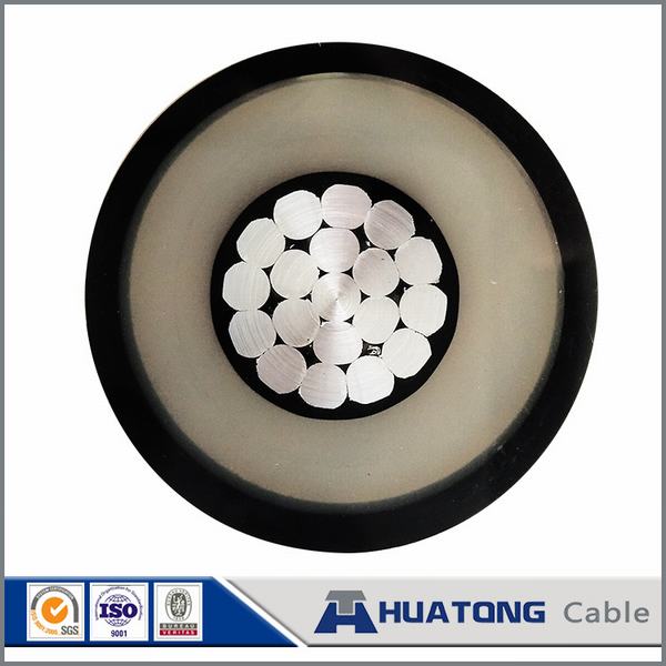 Chine 
                                 Mv antenne espacés 15/25/35kv Sac Câble avec conducteurs en aluminium                              fabrication et fournisseur