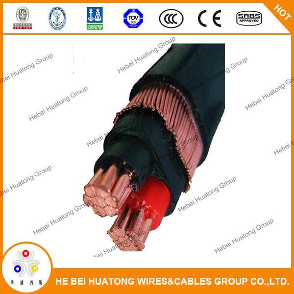 Chine 
                                 0.6/1kv 1*10AWG+10AWG isolation XLPE multibrins en cuivre recuit de gaine en PVC Câbles concentriques                              fabrication et fournisseur
