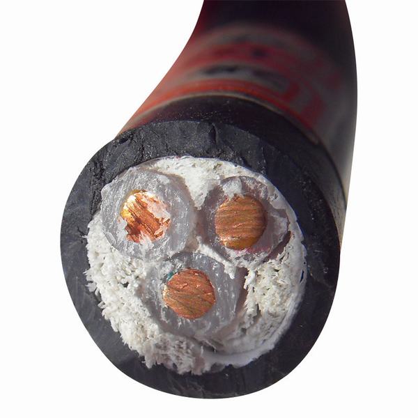 China 
                        0.6/1kv 2 Cores 10mm2 16mm2 25mm2 U-1000 R2V Unarmoured Cable
                      manufacture and supplier