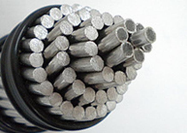 China 
                        AAC/AAAC/ACSR Conductor
                      manufacture and supplier