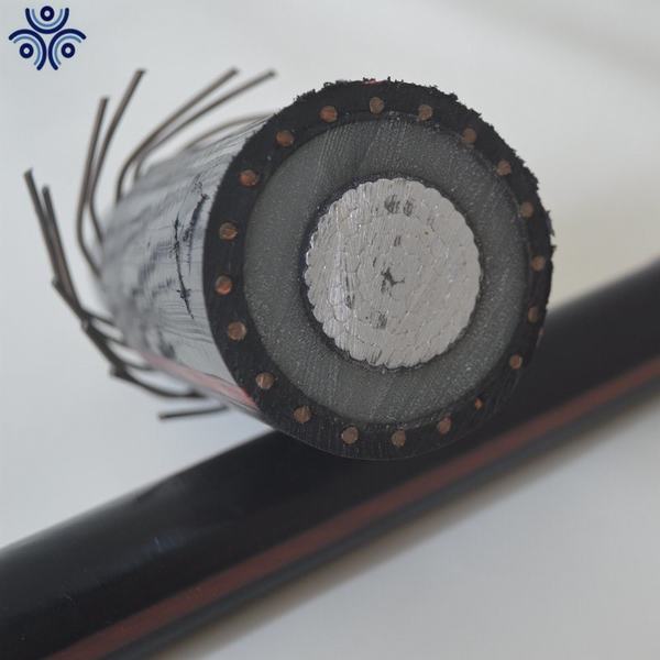 China 
                        Copper Conductor Power Cable XLPE Insulated Mv Cable
                      manufacture and supplier