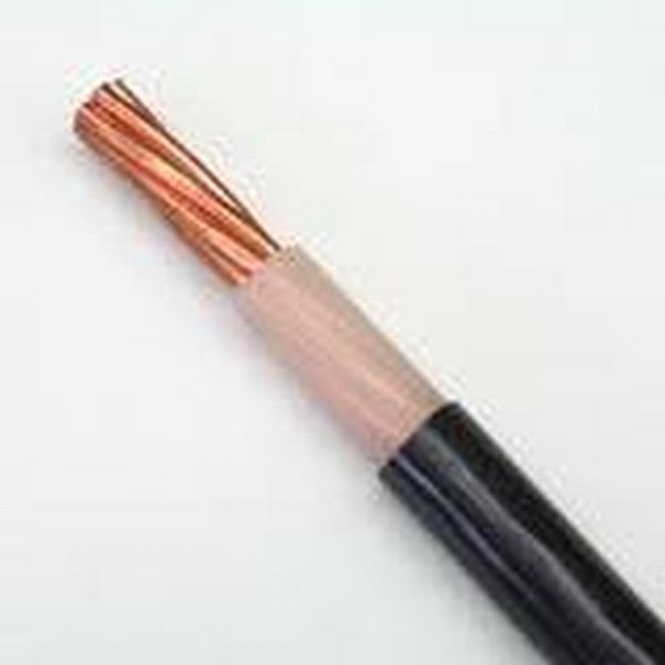China 
                        N2xy IEC 60502-1XLPE PVC 0.6/1kv Cable Used on Solar Field
                      manufacture and supplier