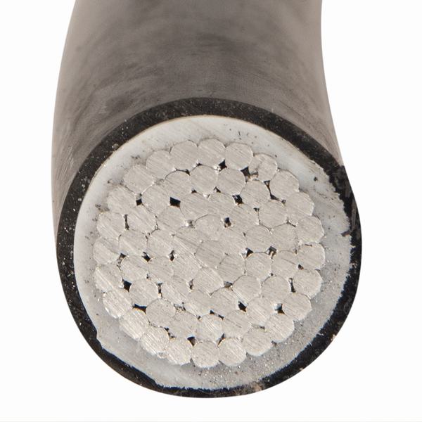 China 
                        PE Underground Secondary Cable Type Usei-75 600 V, Aluminum Conductor, LLDPE Insulation, PVC Jacket
                      manufacture and supplier