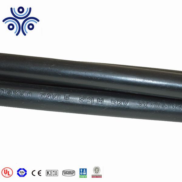 Chine 
                                 Câble d'alimentation 6/10 (12) KV, Conducteur en cuivre avec isolation XLPE PE gainé de Cu/XLPE/PE                              fabrication et fournisseur