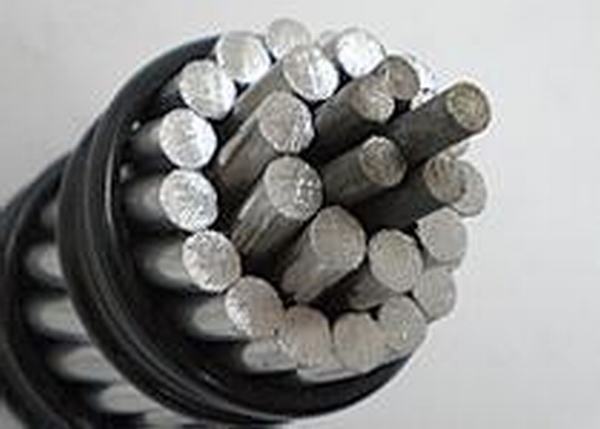 China 
                        Steel-Wire Core Aluminium Stranded Conductor ACSR
                      manufacture and supplier