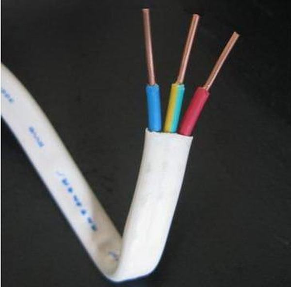 China 
                        Twin and Earth Wires 6242y Twin Flat Cable 300/500V
                      manufacture and supplier
