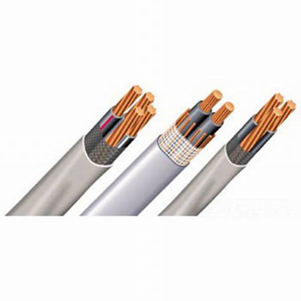 China 
                        UL854 Auminum Seu-AA-8000, XLPE, 2 X 4 + 4 AWG, 600V, Concentric Cable
                      manufacture and supplier
