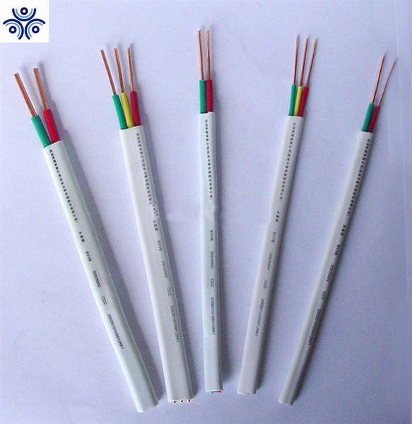 China 
                        Zr-BV/BVV/Rvv/Bvr/RV PVC Electric Electrical Copper Building Wire Cable
                      manufacture and supplier