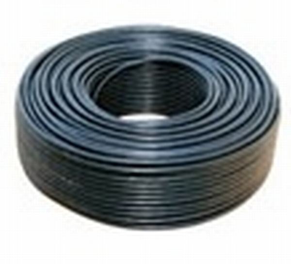 China 
                                 450/750V núcleo de cobre PVC construir el cable                              fabricante y proveedor