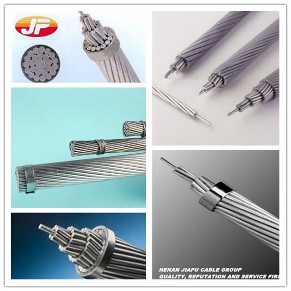 China 
                        AAC Conductor Aluminum Stranded Conductor
                      manufacture and supplier