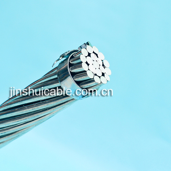 
                0.6/1kv Bare AAC sobrecarga Cable conductor desnudo de aluminio
            