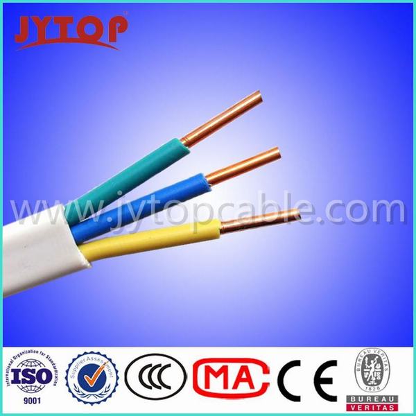 China 
                        300/500V PVC Insulated Flat Cable with Ce Certificate
                      manufacture and supplier