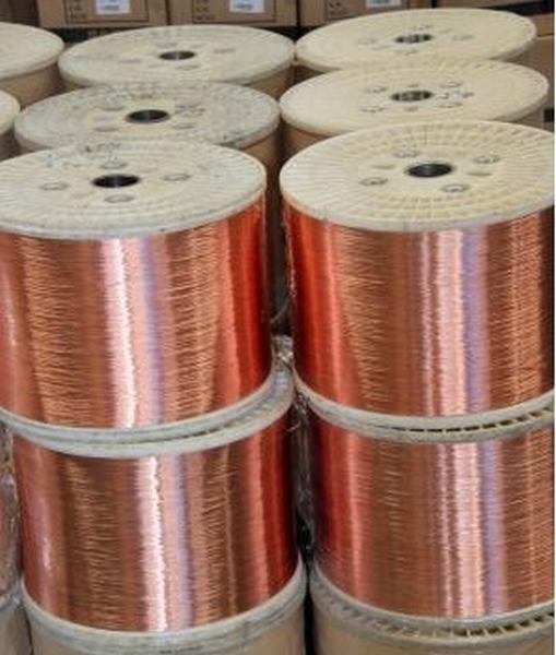 China 
                        8mm 25mm 6mm Copper Wire CCS Copper Clad Steel
                      manufacture and supplier
