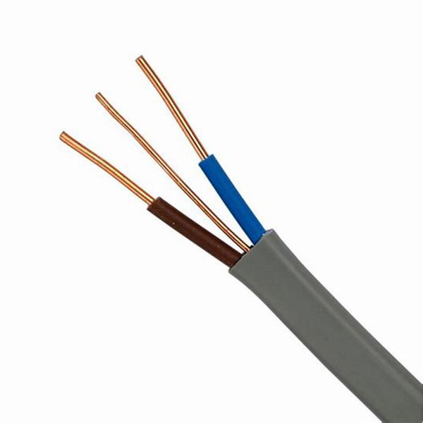 China 
                        Copper PVC Insulated PVC Sheathed Cable Twin and Earth Electric Wire
                      manufacture and supplier