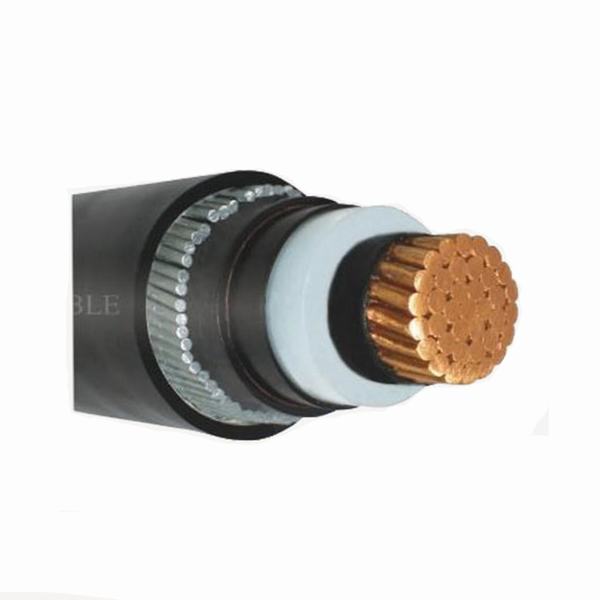 China 
                        Low and Medium Voltage Single Core Cu/Al XLPE Insulated Armored Power Cable
                      manufacture and supplier
