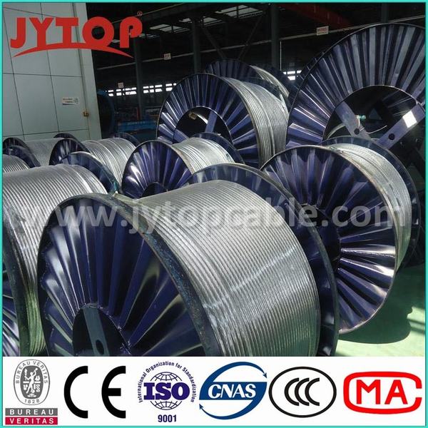 Chine 
                                 Câble en acier galvanisé échoués à l'ensemble du fil en acier galvanisé                              fabrication et fournisseur