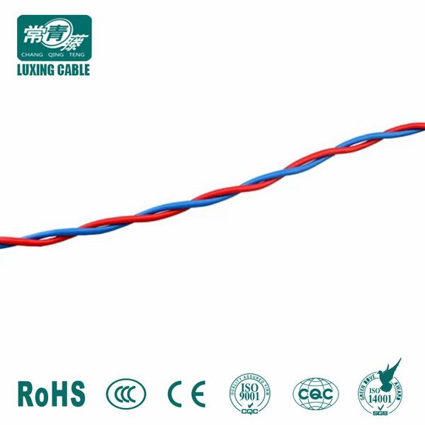 
                                 Câble de haute qualité à 2 conducteurs en PVC souple RVS 450/750V torsadée de fils de cuivre multibrins                            